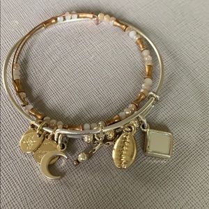 Alex and Ani Charm Bracelet